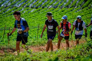 BIB: 1133
                            <button type="button" onclick="openModal(19164394)" class="btn btn-primary btn-sm float-right btn-popup" data-toggle="modal" data-target=".modal-high-quality">
                        <i class="fas fa-shopping-cart"></i> Add to Cart
                    </button>
                                            <button type="button" onclick="isThisMe(19164394, true)" class="btn btn-success btn-sm float-right btn-popup btn-isme hidden" data-toggle="tooltip" data-placement="bottom" title="นี่คือรูปของคุณใช่ไหม คลิกที่นี่เพื่อเอาเข้าอัลบั้ม">
                        <i class="fas fa-plus"></i> Add to album
                    </button>
                    <button type="button" onclick="isThisMe(19164394, false)" class="btn btn-warning btn-sm float-right btn-popup btn-isnotme hidden">
                        <i class="fas fa-ban"></i> Remove from album
                    </button>